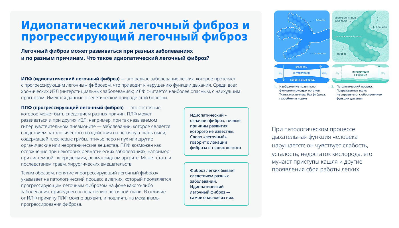 Слайд 6