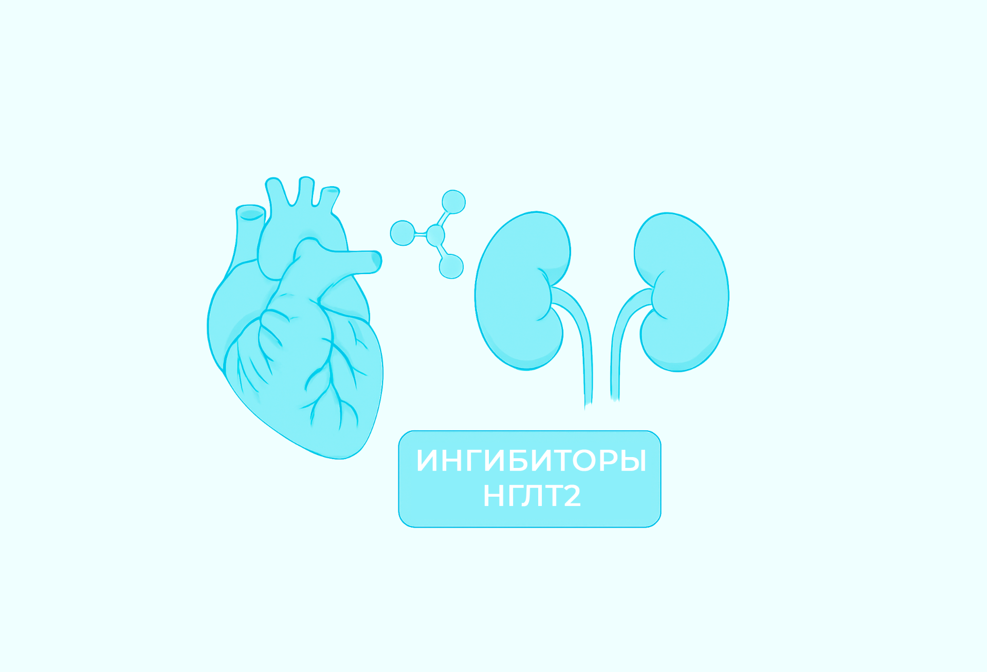 Ингибиторы НГЛТ2 – рабочий инструмент прецизионного подхода в эндокринологической практике